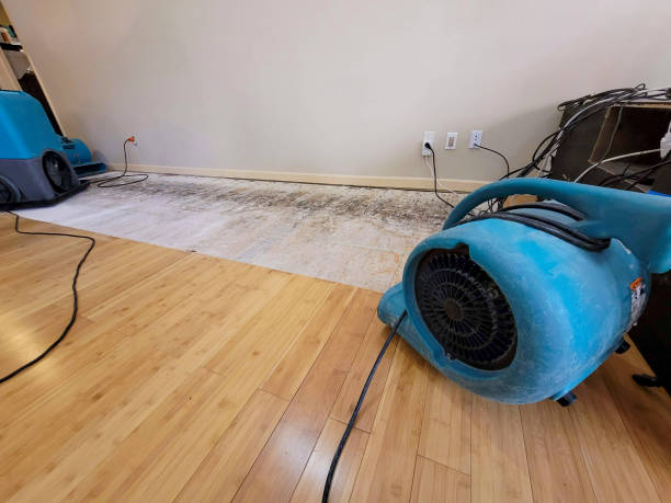 Reliable Basement Flood Cleanup contractor in Pinetops, NC by Hirex Water Damage