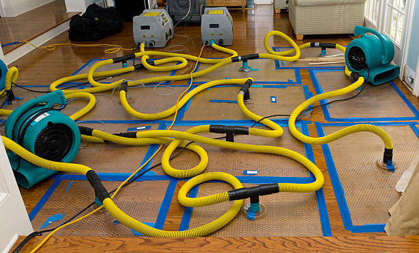 Professional Basement Flood Cleanup technician working in Pinetops, NC